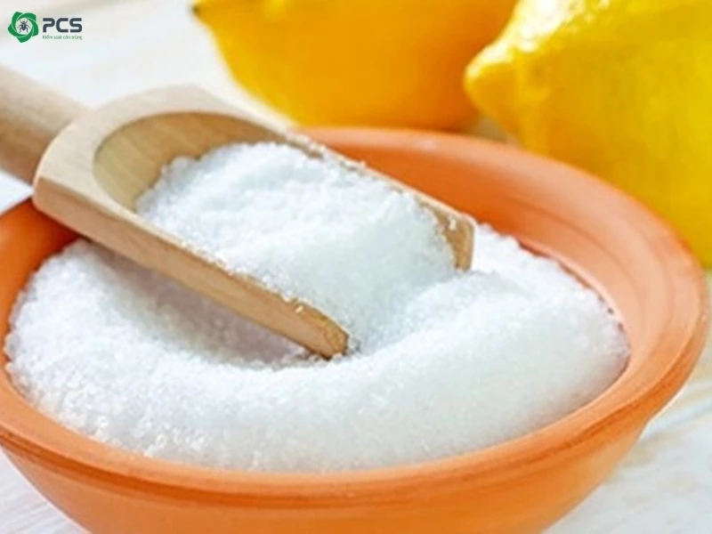 Cách trị gián trong nhà 